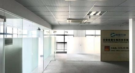 合肥租房市场新趋势 365租房网与房屋托管服务的融合与发展