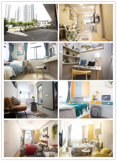 布吉罗沙雅苑 地铁口稀缺豪装房源，拎包入住的理想之选